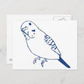 Budgerigar Postkarte (Vorne/Hinten)