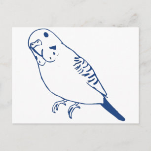 Budgerigar Postkarte