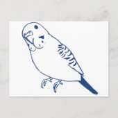 Budgerigar Postkarte (Vorderseite)