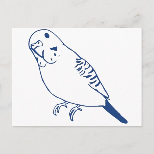 Budgerigar Postkarte (Vorderseite)