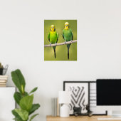 Budgerigars auf einem Seil Poster (Heimbüro)