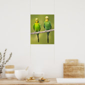 Budgerigars auf einem Seil Poster (Küche)