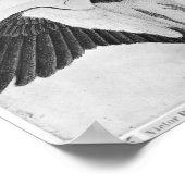 Budgerigars aus dem Vallardi-Album Poster (Ecke)