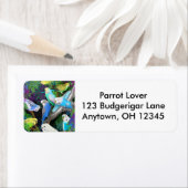 Budgerigars beim Ferns-Label (Insitu)