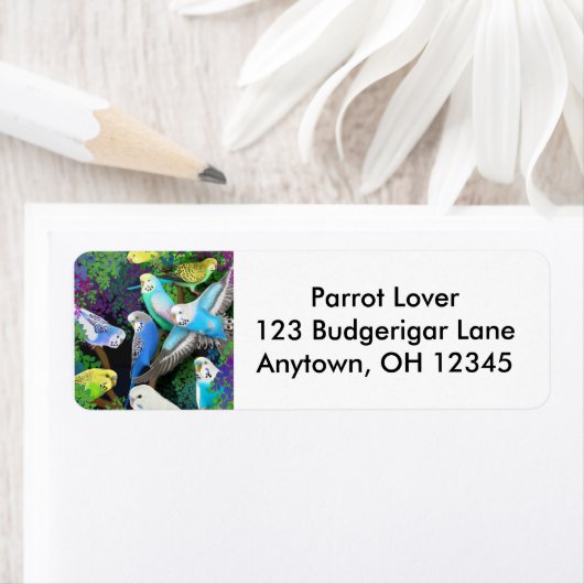 Budgerigars beim Ferns-Label (Insitu)