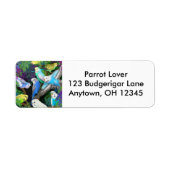 Budgerigars beim Ferns-Label (Vorne)