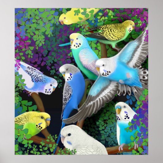 Budgerigars in Ferns Poster (Vorne)