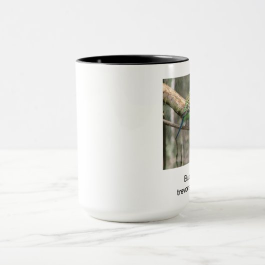 Budgerigars Tasse (Zentrum)