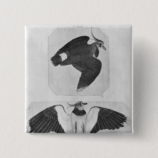 Budgerigars, vom Vallardi Album Button (Vorderseite)