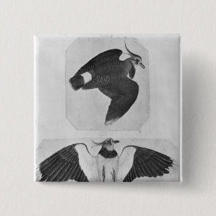 Budgerigars, vom Vallardi Album Button