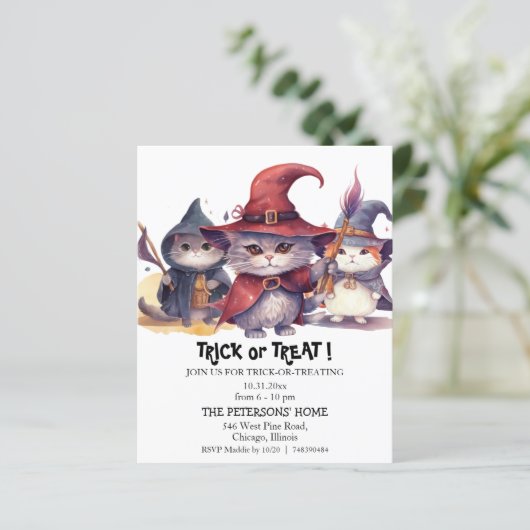 Budget 3 Kleine Hexen Trick oder Behandlung Einlad (Stehend Vorderseite)