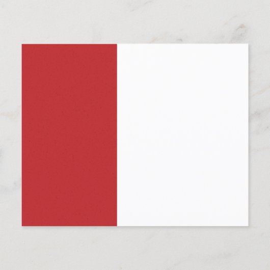 Budget Abschluss 2023 Modernes Rotes Minimalistisc (Rückseite)