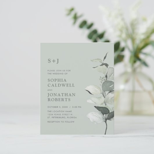 Budget Alles in einer Stufe Eukalyptus Wedite Einl (Stehend Vorderseite)