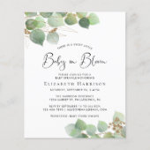 Budget Baby in Bloom Eucalyptus Baby Sprinkle (Vorderseite)