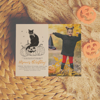 Budget Black Cat Halloween Pumpkin Foto Geburtstag
