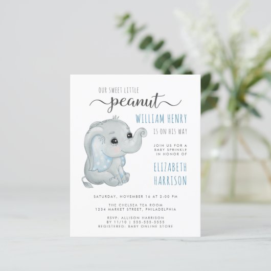 Budget Blue Elephant Watercolor Baby Sprinkle (Stehend Vorderseite)