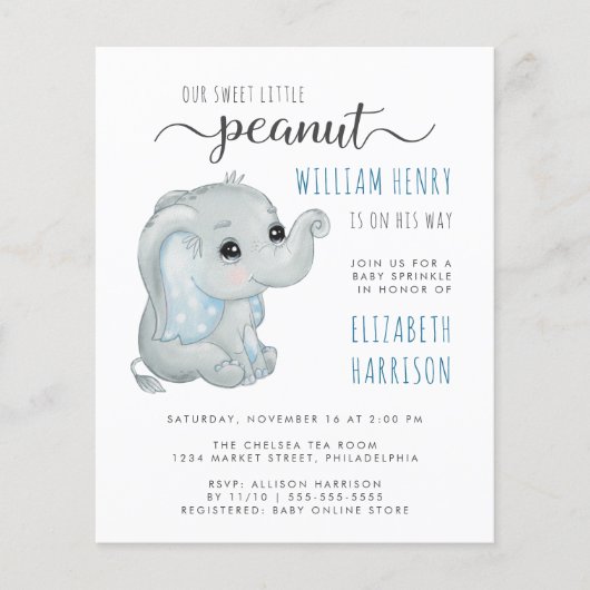 Budget Blue Elephant Watercolor Baby Sprinkle (Vorderseite)