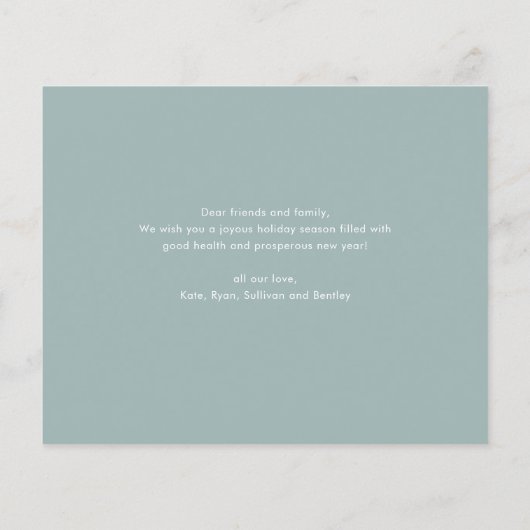 Budget Bold Type Foto Weihnachtskarte (Rückseite)