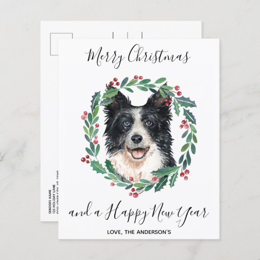 Budget Border Collie Dog Frohe Weihnachts Postkart (Vorne/Hinten)