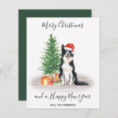 Budget Border Collie Dog Frohe Weihnachtskarte (Vorne/Hinten)