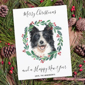 Budget Border Collie Dog Frohe Weihnachtskarte