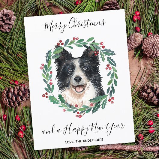 Budget Border Collie Dog Frohe Weihnachtskarte