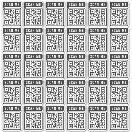 Budget Business Scan Me QR Code Modern einfach Aufkleber (Vorderseite)