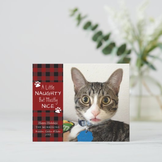 Budget Cat Foto Naughty oder Nice Grußkarte (Stehend Vorderseite)