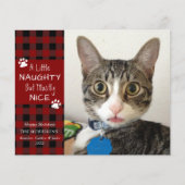 Budget Cat Foto Naughty oder Nice Grußkarte (Vorderseite)