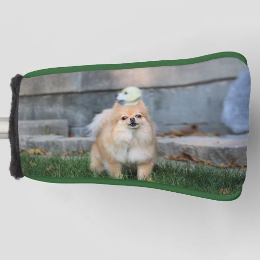 Budget Cerberus Golf Headcover (Vorderseite)