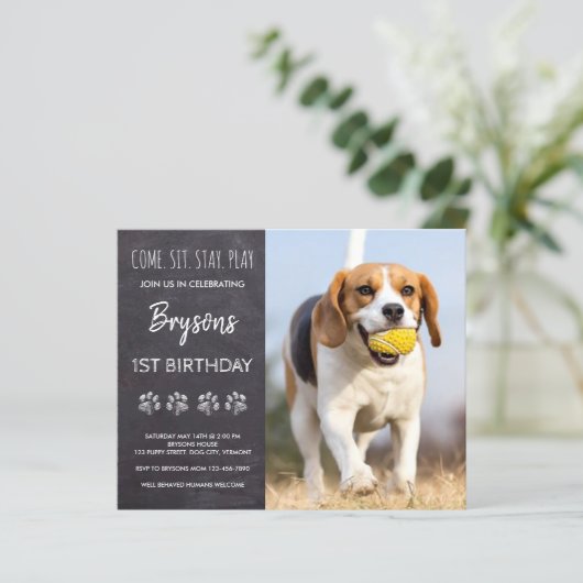 Budget Come Sit Bleibe Chalkboard Welpe Hund Gebur (Stehend Vorderseite)