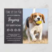 Budget Come Sit Bleibe Chalkboard Welpe Hund Gebur (Vorderseite)