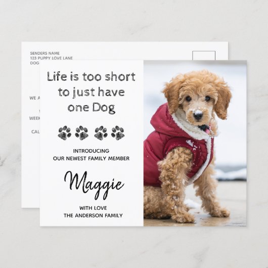 Budget Custom Foto New Pet New Puppy Ankündigung (Vorne/Hinten)