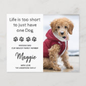 Budget Custom Foto New Pet New Puppy Ankündigung (Vorderseite)