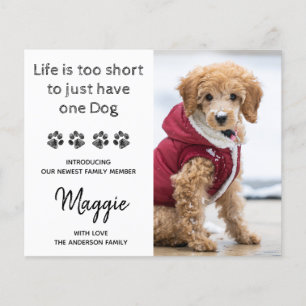 Budget Custom Foto New Pet New Puppy Ankündigung
