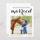 Budget Custom Foto Pferde Reittiere Save the Date (Vorne/Hinten)