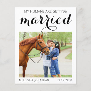 Budget Custom Foto Pferde Reittiere Save the Date