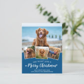 Budget Custom Pet Foto Hund Merue Weihnachtskarte (Stehend Vorderseite)