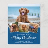 Budget Custom Pet Foto Hund Merue Weihnachtskarte (Vorderseite)
