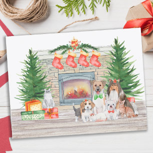 Budget Dog Lover Happy Pawlidays Weihnachtskarte