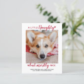 Budget Eine kleine schöne Hundeschlittenkarte Foto (Stehend Vorderseite)