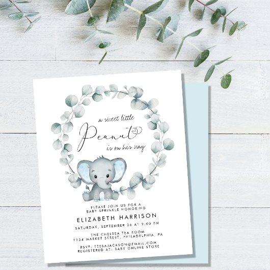 Budget Elephant Baby Boy Sprinkle Einladung