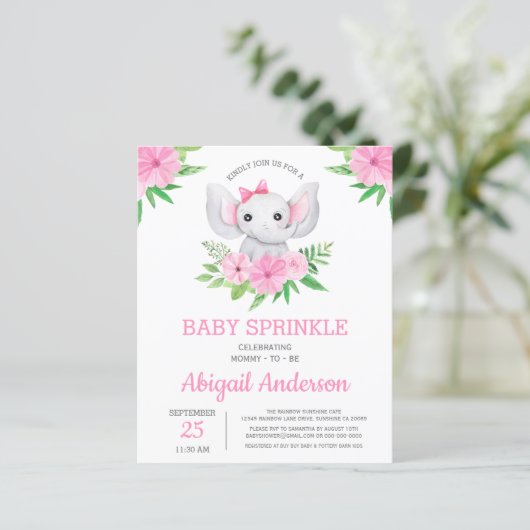 BUDGET Elephant Baby Sprinkle Blumenladen (Stehend Vorderseite)