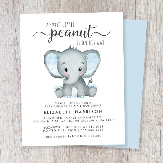 Budget Elephant Blue Baby Boy Sprinkle Einladung