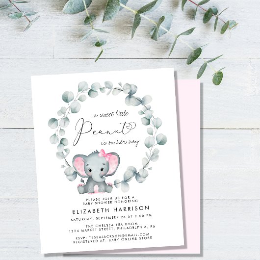 Budget Elephant Eucalyptus Girl Baby Shower Einlad