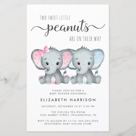 Budget Elephant Twin Boy Girl Baby Shower Einladun (Vorderseite)