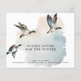 Budget Enten fliegen nach Süden temporäre neue Zuh