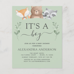 Budget Es ist ein Junge Baby Shower Woodland Green Flyer