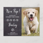 Budget Es ist eine Pup New Pet Puppy Dog Ankündigu (Vorderseite)