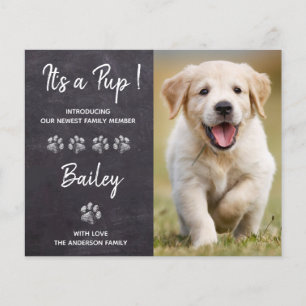 Budget Es ist eine Pup New Pet Puppy Dog Ankündigu